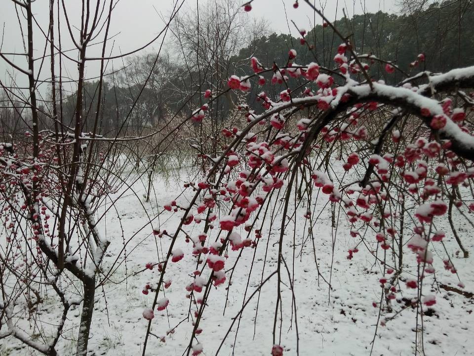 qqͼƬ20140209100714.jpg