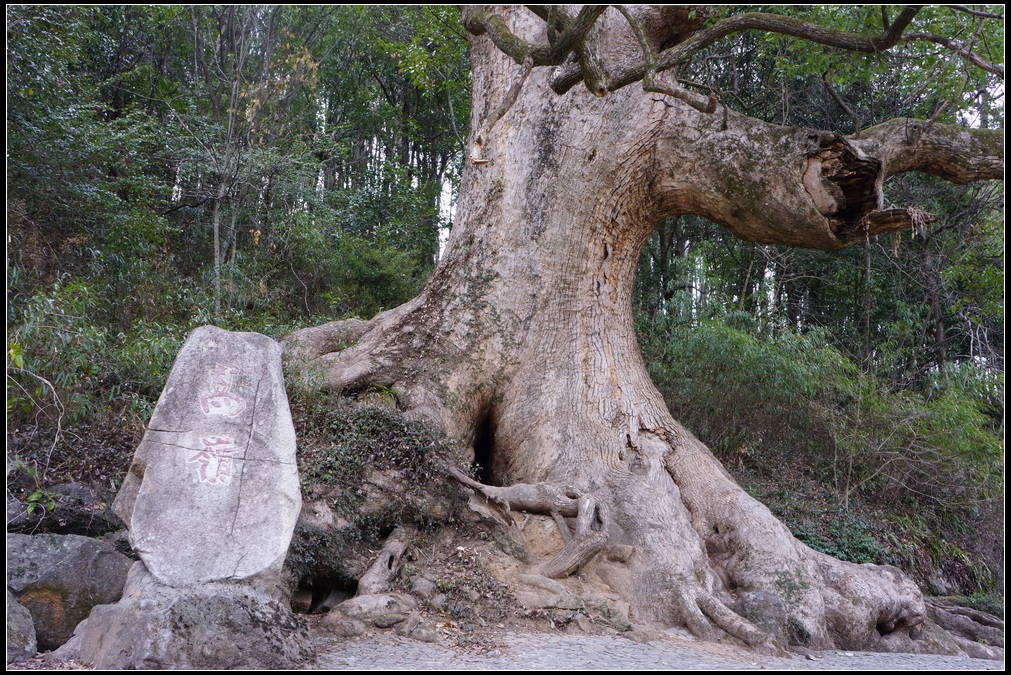 ɹŵ1.jpg