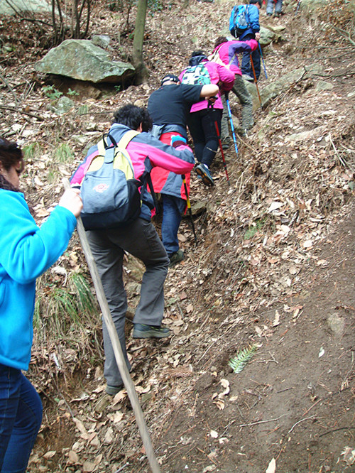 dsc03411_.jpg