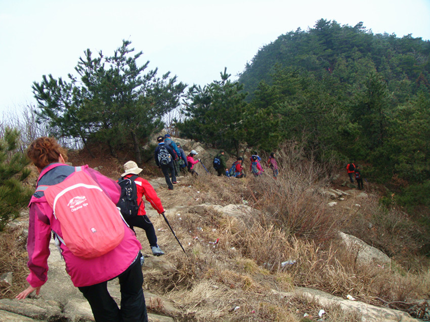 dsc03349_.jpg