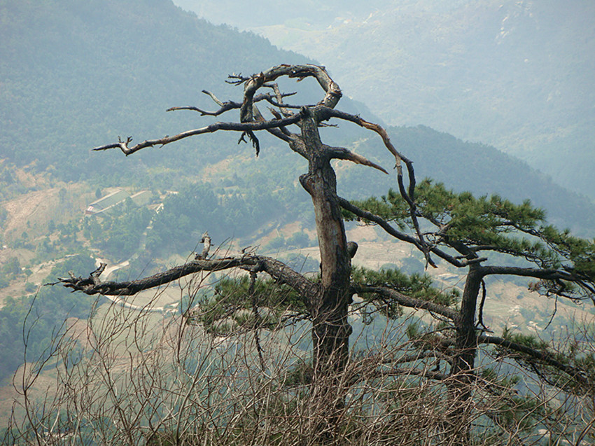 dsc03364_.jpg
