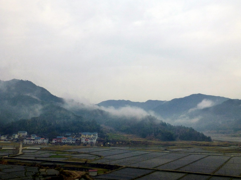 p1180537.jpg
