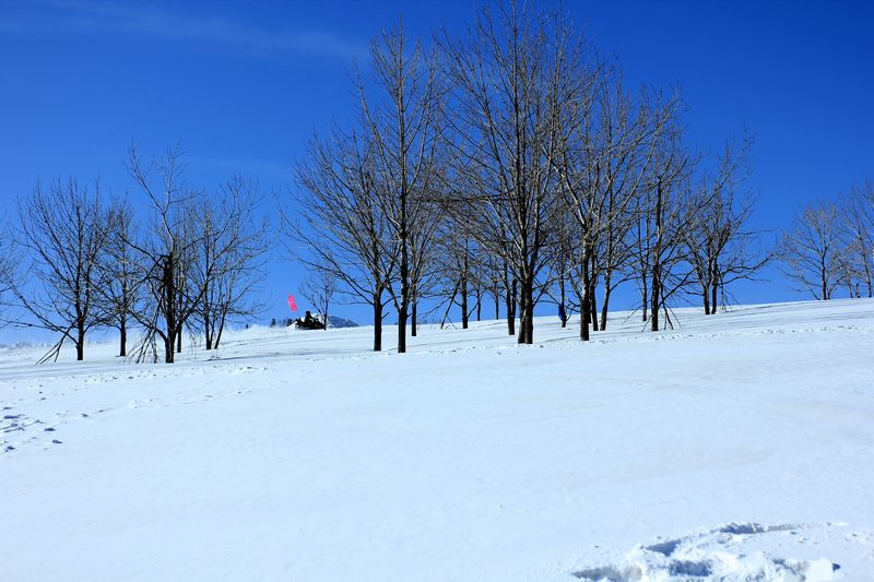 img_9438.jpg