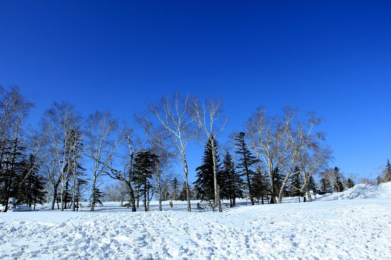img_9449.jpg