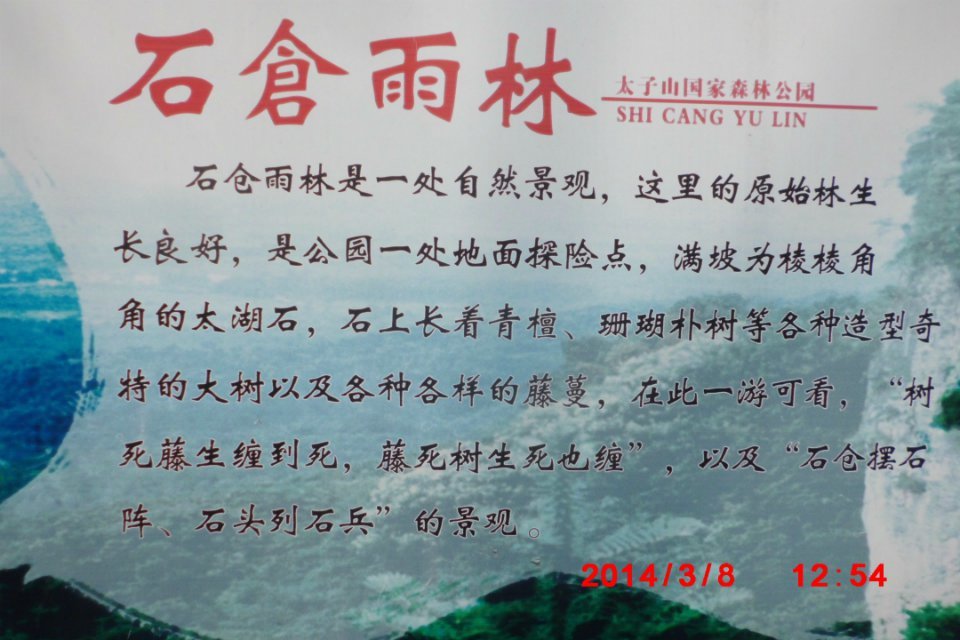 psb (4).jpg