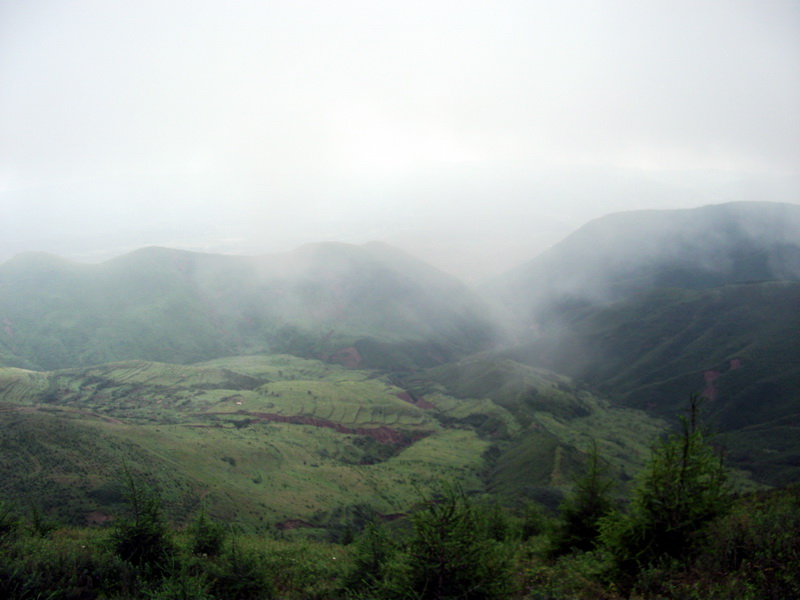 dscf0354.jpg