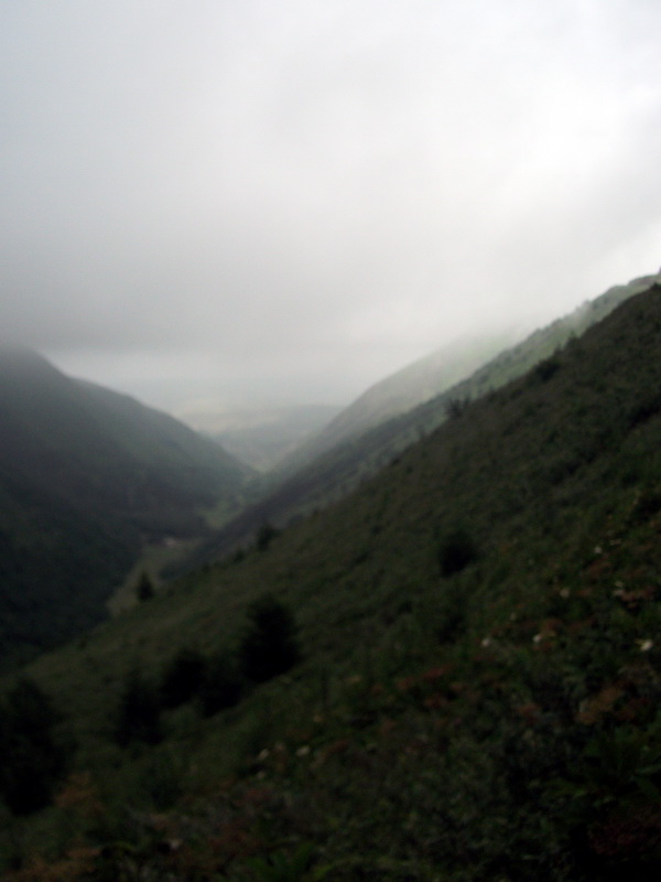 dscf0365.jpg