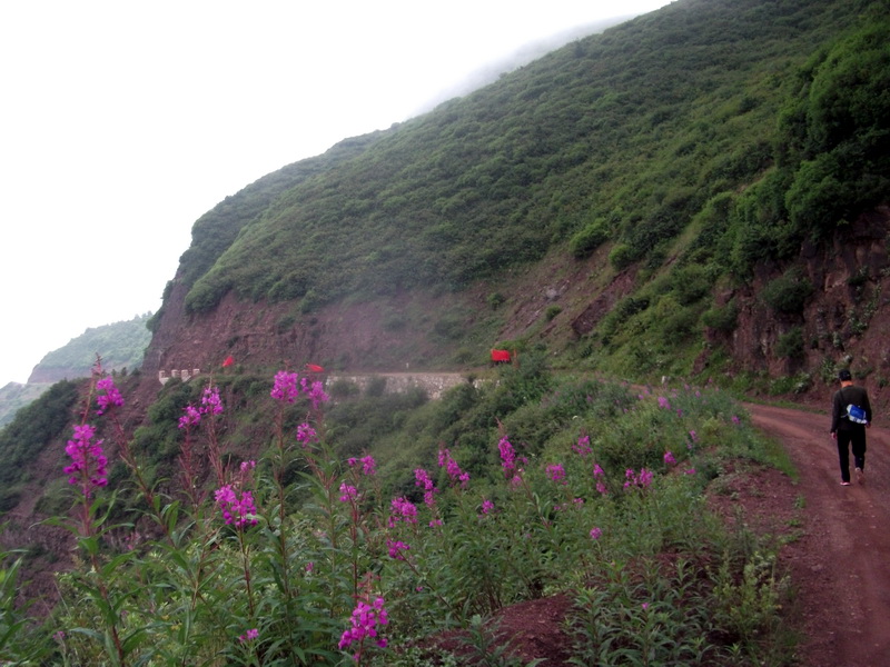 dscf0371.jpg