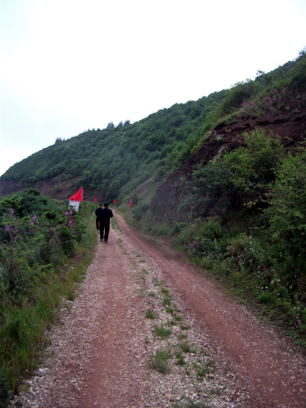 dscf0377.jpg