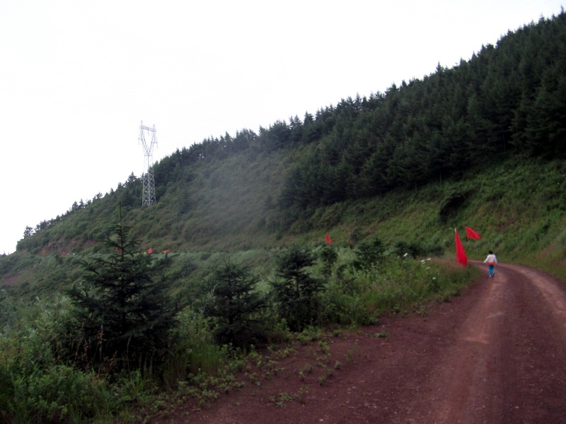 dscf0383.jpg