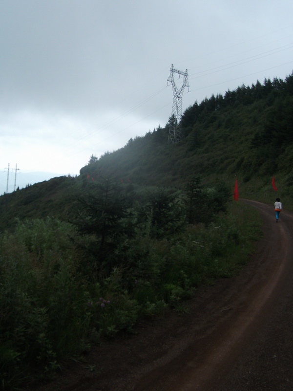 dscf0384.jpg