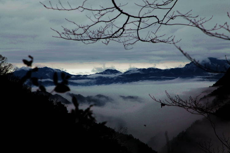 img_8743_副本.jpg