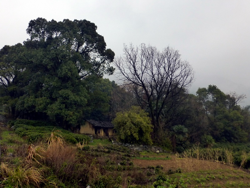 p1180643.jpg