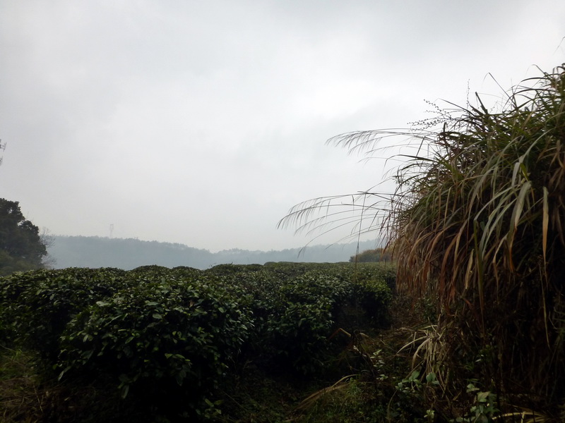 p1180646.jpg