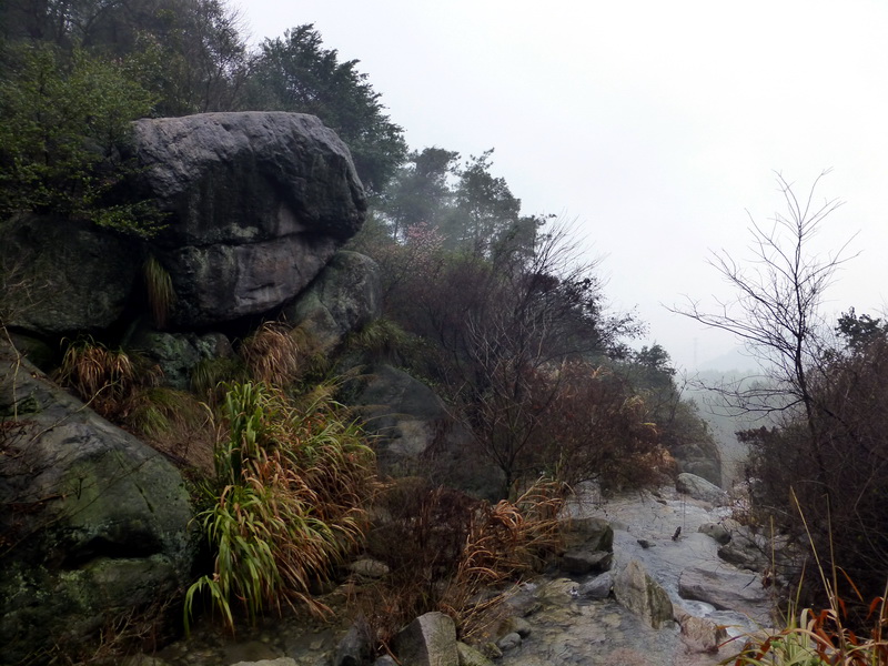 p1180651.jpg