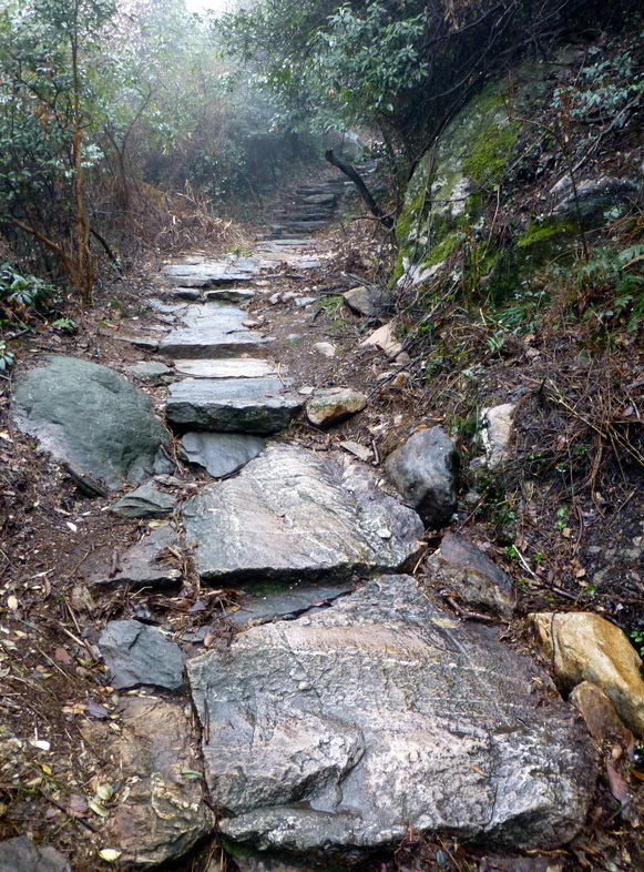 p1180659.jpg