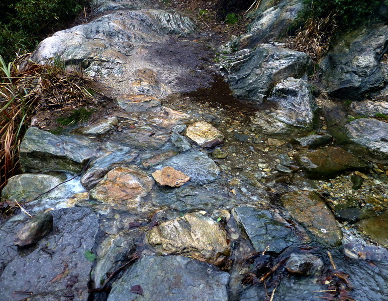p1180661.jpg