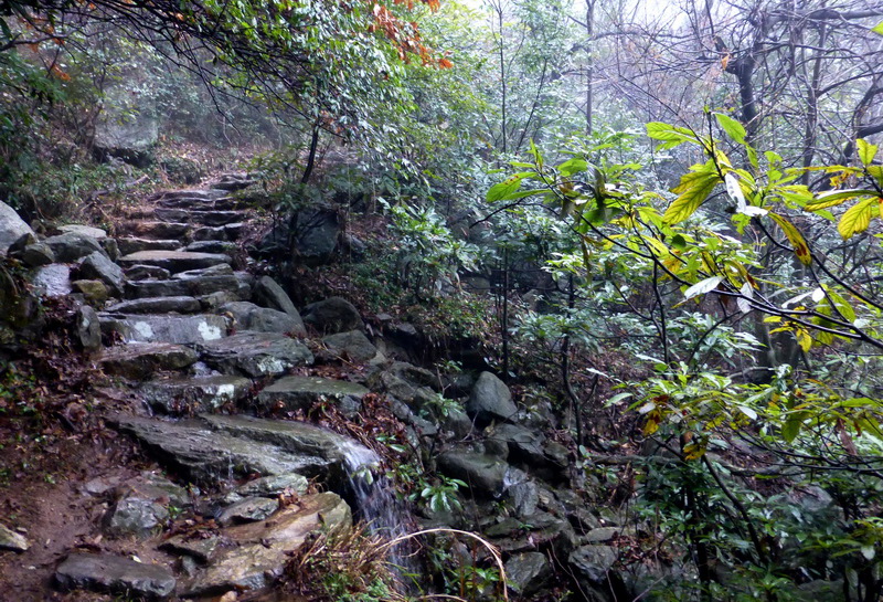 p1180676.jpg