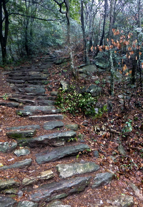 p1180677.jpg