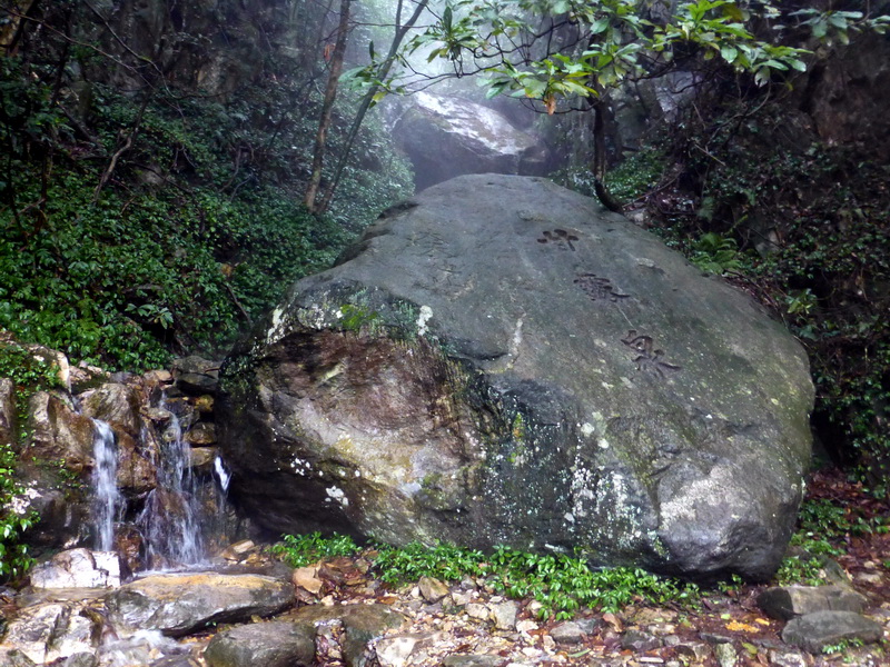 p1180679.jpg