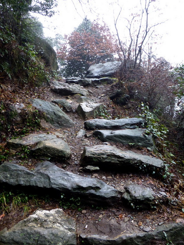 p1180682.jpg