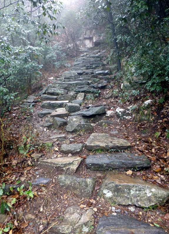 p1180686.jpg