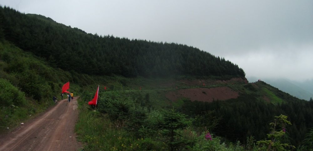 dscf0387.jpg