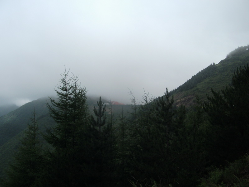 dscf0396.jpg