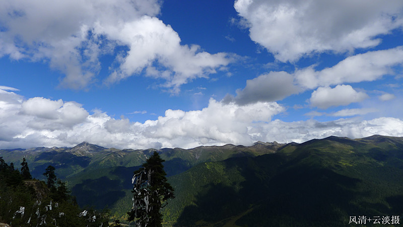 p1030574.jpg