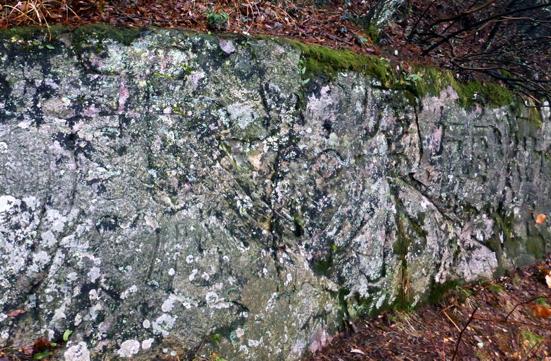 p1180695.jpg