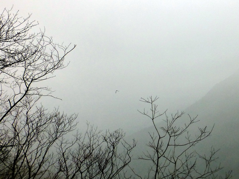 p1180696.jpg