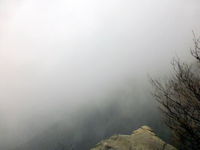 p1180699.jpg