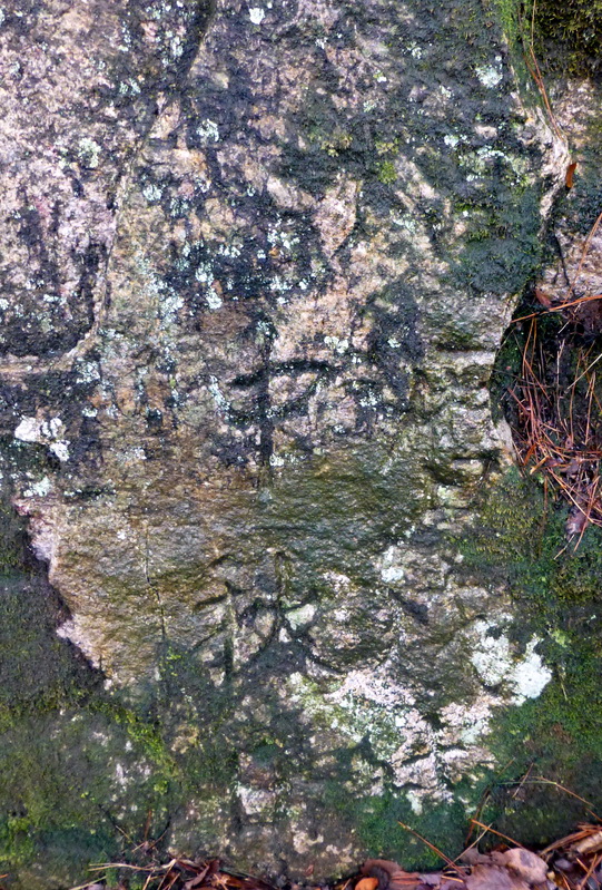 p1180700.jpg
