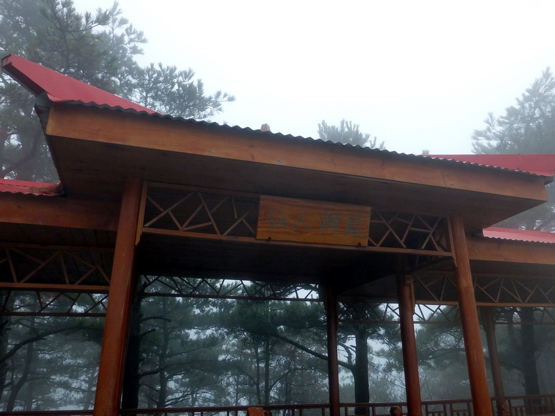 p1180715.jpg