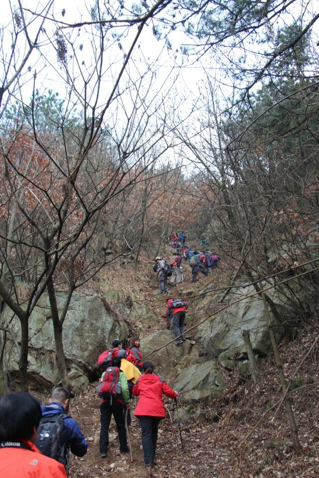 qqͼƬ20140310223718.jpg