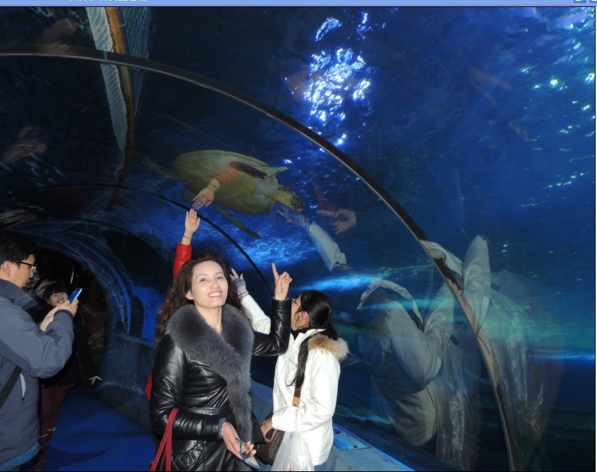 qq图片20140311213946.jpg