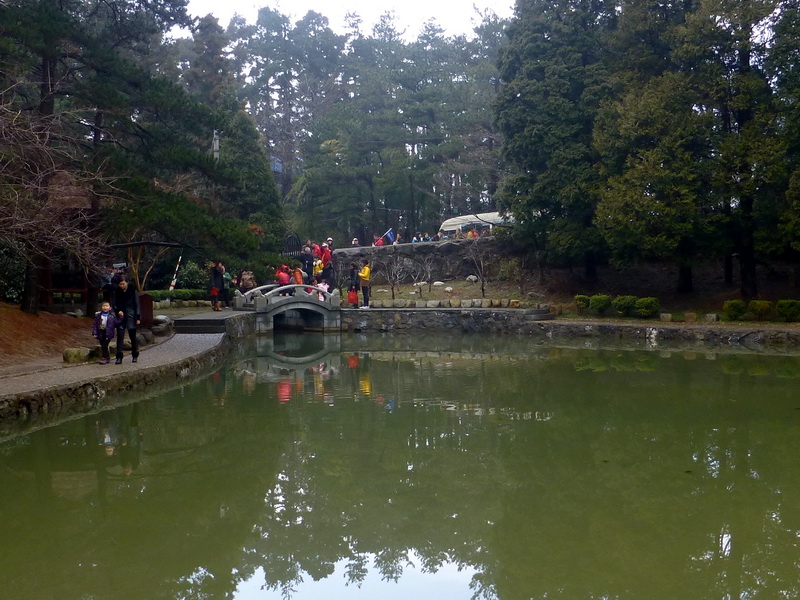 p1180725.jpg