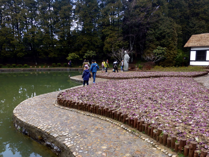p1180726.jpg