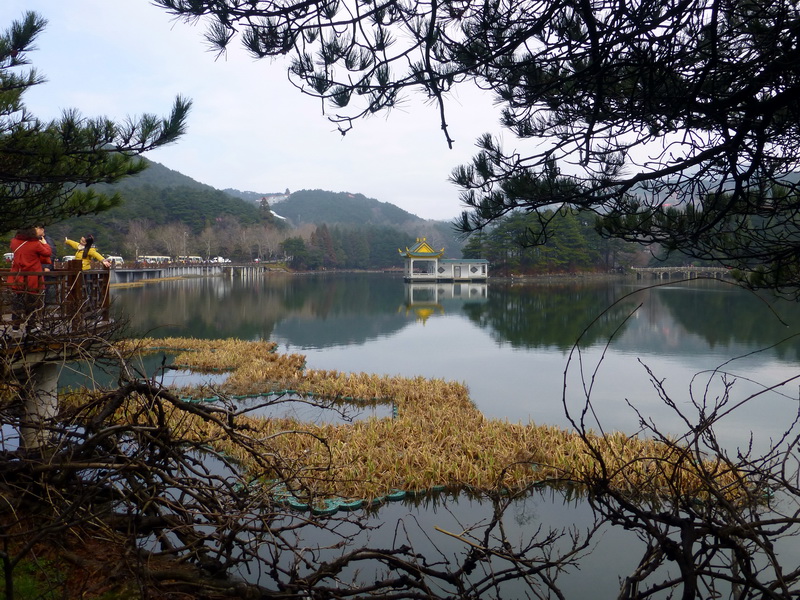 p1180732.jpg