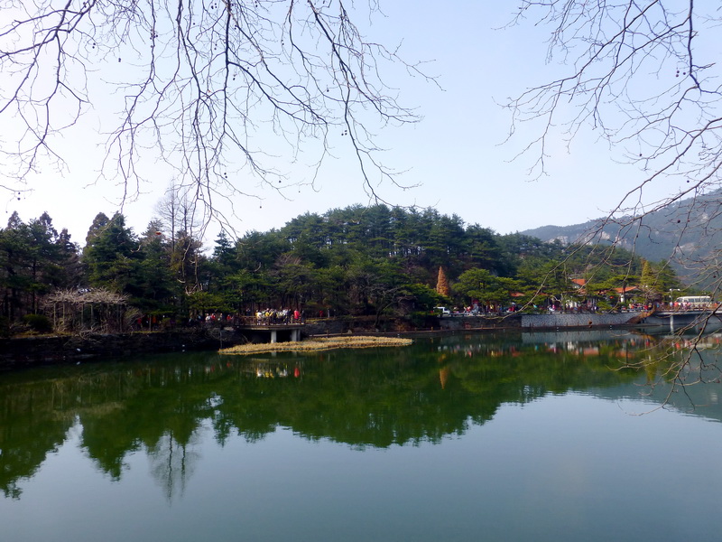 p1180736.jpg