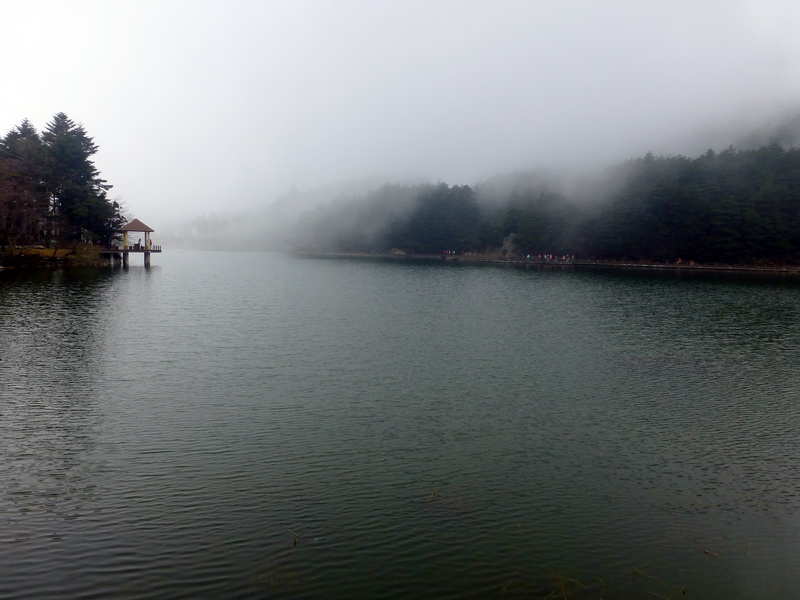 p1180751.jpg