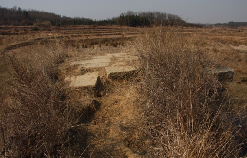 qqͼƬ20140313083647.jpg
