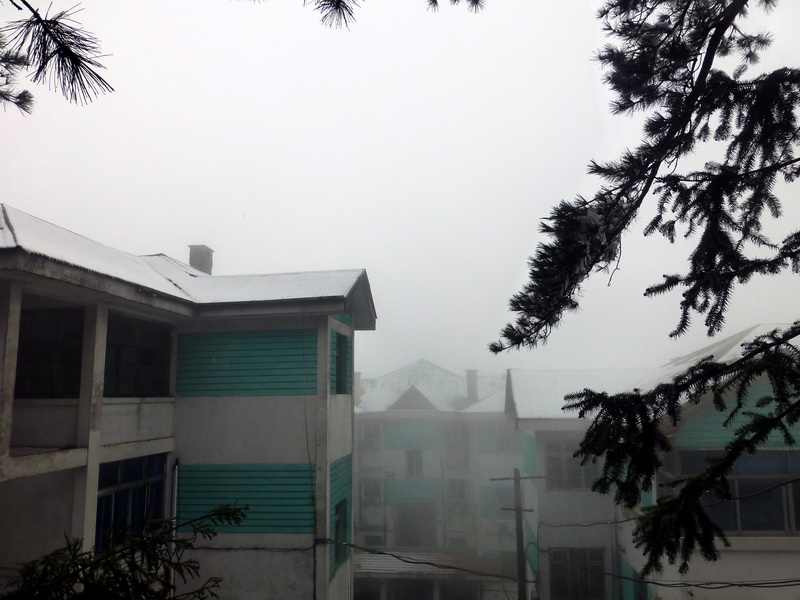 p1180793.jpg