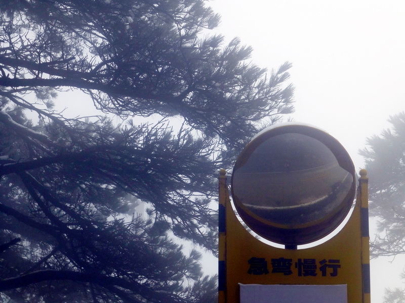 p1180809.jpg