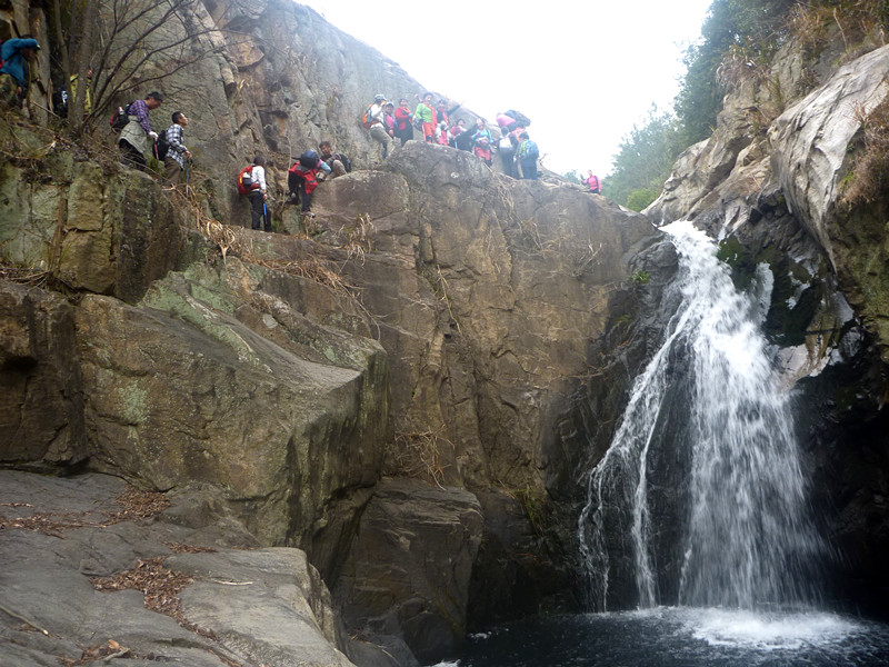 p1190108_.jpg