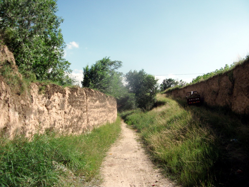 dscf0465.jpg