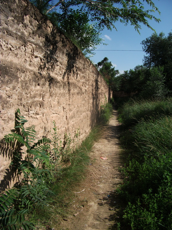 dscf0466.jpg