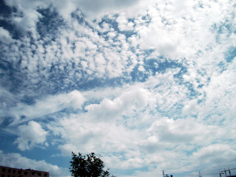 dscf0455.jpg