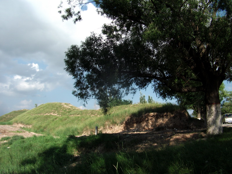 dscf0473.jpg