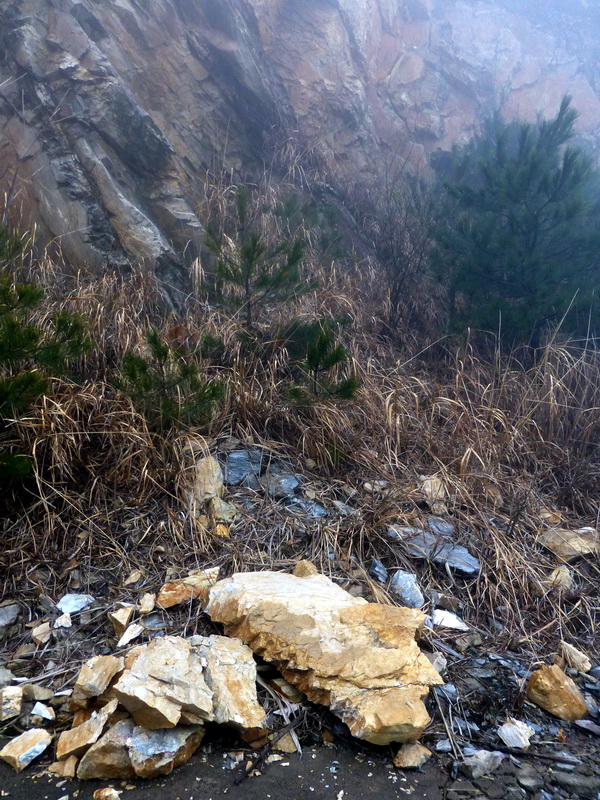 p1180817.jpg